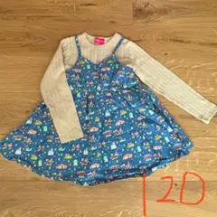 Item thumbnail for item 27f696c6-3c2d-4c5a-89d7-69c1b6b357ef