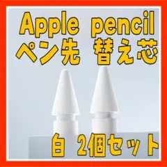 KS11　Apple pencil ペン先 替え芯 アップル ペンシル 2個25
