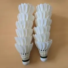 Item thumbnail for item 6af95e4e-1d42-4988-9279-351c0ea1abe9