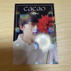 よしもとコレカ cacao たっぺい