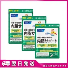 内脂サポート*3
