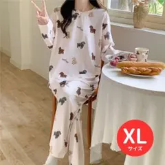 トイプードル 新品未使用 ルームウエア パジャマ セットアップ 可愛い XL