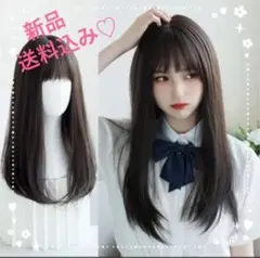 ウィッグ レディース 新品 黒髪 日本人 コスプレ ストレート ブラック かつら
