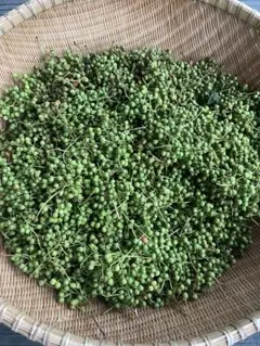 m.k.t 採れたて！青森県産 花山椒 A品 200グラム 2025年最新】青森県産花山椒の人気アイテム - メルカリ