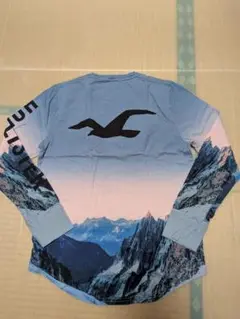 Hollister ホリスター　両面全面プリント　長袖カットソー メンズ　XS