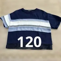 コムサ　サマーニット　120
