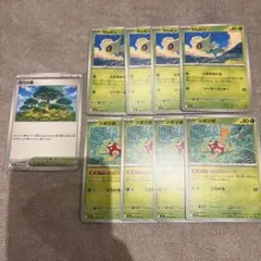 ポケモンカード　セレビィ　ツボツボ　活力の森