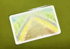 パステルアート原画　タンポポのみち
