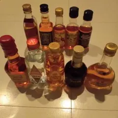ミニボトルウイスキー&GIN まとめて10本