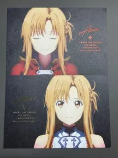 全2種 セット SAO 映画入場者特典 ポストカード アスナ 10週目 2025年最新】ソードアートオンライン10週目入場者特典の人気