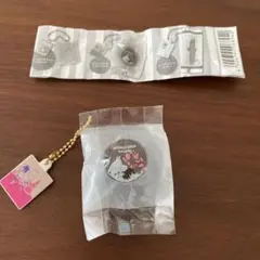 MOOMIN ミニチュアキーホルダー