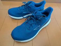 Mizuno スニーカー 26.0cm 青　新品、未使用品