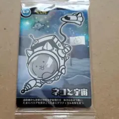 Item thumbnail for item 0430cef3-39f4-4b1a-b138-d3186aa442fb