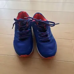 Item thumbnail for item e979076b-3b87-459e-bc2a-17f3e6049ad7