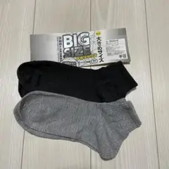 Item thumbnail for item 0966fd15-d1a9-4e09-a8b4-188425493bb8