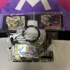 ポケモンフレンダベストタッグスーパートレジャーカミツオロチ、ゲンガーおまけ付