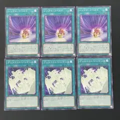 遊戯王　デュエリスト・ジェネシス　シンクロ・ワールド　各3枚