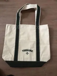 Item thumbnail for item f9e85e8f-1645-48f5-be97-36276b2216e2