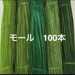 緑系　モール　手芸