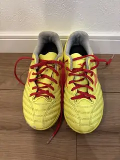mizuno モナルシーダ トレーニングシューズ 20.5cm