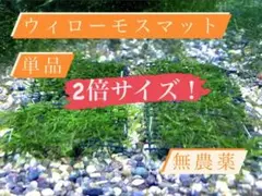 ⭐️数量限定⭐️ウィローモスマット 8×5cm 1枚‼️