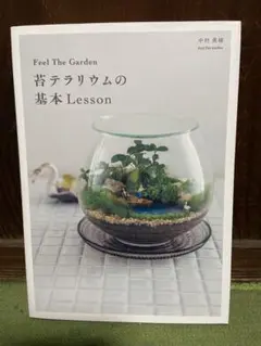 Feel The Garden 苔テラリウムの基本Lesson 中村美緒