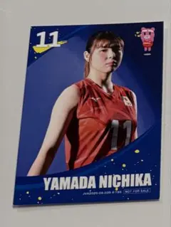 ネーションズリーグ 女子 バレーボール 山田二千華 選手 トレカ カード
