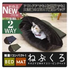 Item thumbnail for item 6a1764ba-fcad-4f9b-bb26-0cd72db9ed5d