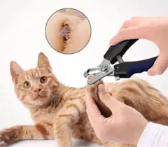 Item thumbnail for item 2770f844-83f6-49da-a012-cedab110cb43