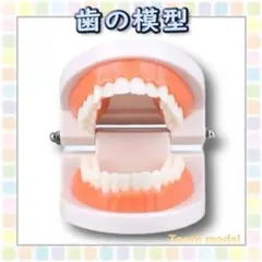 Item thumbnail for item 968eb003-fae5-4235-a4b6-e2f8b5afe90e