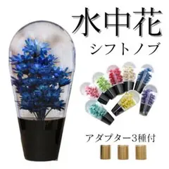 Item thumbnail for item 68ea22c3-8725-43b3-b2f4-e22ac00be6d7