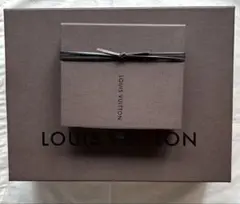 VUITTON 空箱　美品　即購入可◎ 2点セット　　保存袋1点付き、送料込み