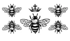 Item thumbnail for item 41e3ab0a-3950-46e1-a166-2c07f2c5ca53