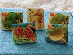 Item thumbnail for item f0f4b1d9-0c24-40a2-a4ec-d28d93d16e60