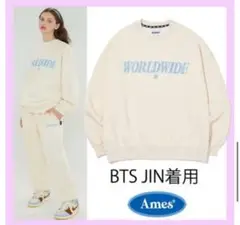 即決優先‼️アメス ワールドワイド トレーナー 非売品‼️