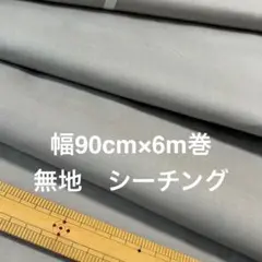 Item thumbnail for item ffd63c25-0839-416f-b674-04f727a3da59