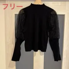 Item thumbnail for item 10a1e3a3-e59d-44ba-9161-42e4b37d10d0