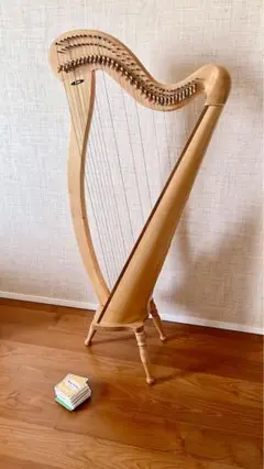 【サルヴィ 34 ハープ　本体　メンテナンス済み ハープ,Salvi Harps | 銀座十字屋オンラインショップ