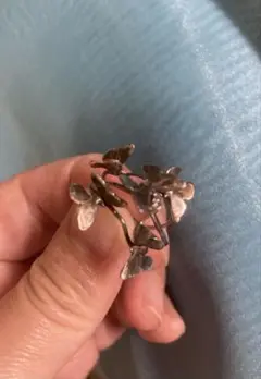 Item thumbnail for item 65bdf50f-46a7-4e83-b36e-f27a1b0fe65c