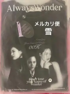 最終値下げ⭐︎ Always Wonder ブラック Tシャツ M
