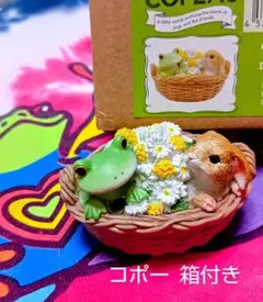 コポー　箱付き　かえるとうさぎ