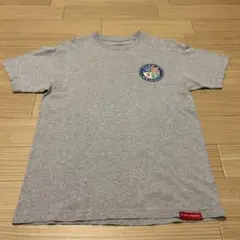 PLAN B GRIZZLY メンズ Tシャツ 半袖 Mサイズ　グレー