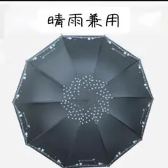 Item thumbnail for item e724299c-f944-4128-99bf-02108c1db33d