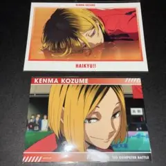 ハイキュー ゴミ捨て場の決戦展 ポストカード トレーディングスナップカード 研磨