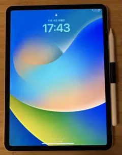 iPad Pro (第2世代) 11 1TB Wi-Fi cellular