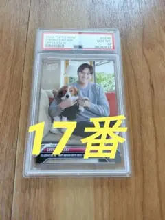 2025年最新】大谷 犬 カードの人気アイテム - メルカリ
