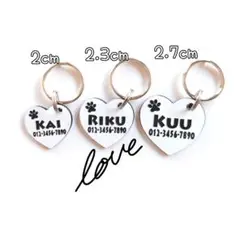 Item thumbnail for item 0a895514-892c-414f-961b-cb1e2dabd1f2