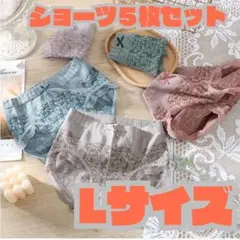 【5枚】新品　レディース ショーツ インナー 肌着 まとめ売り 下着 温活　L