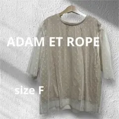 美品　アダムエロペ　ベージュ ドット柄半袖 トップス　チュール　コットン　F
