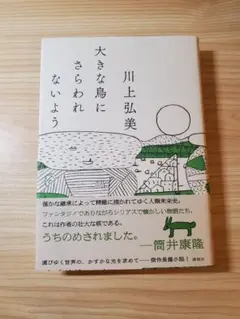 【初版帯付単行本】川上弘美 大きな鳥にさらわれないよう